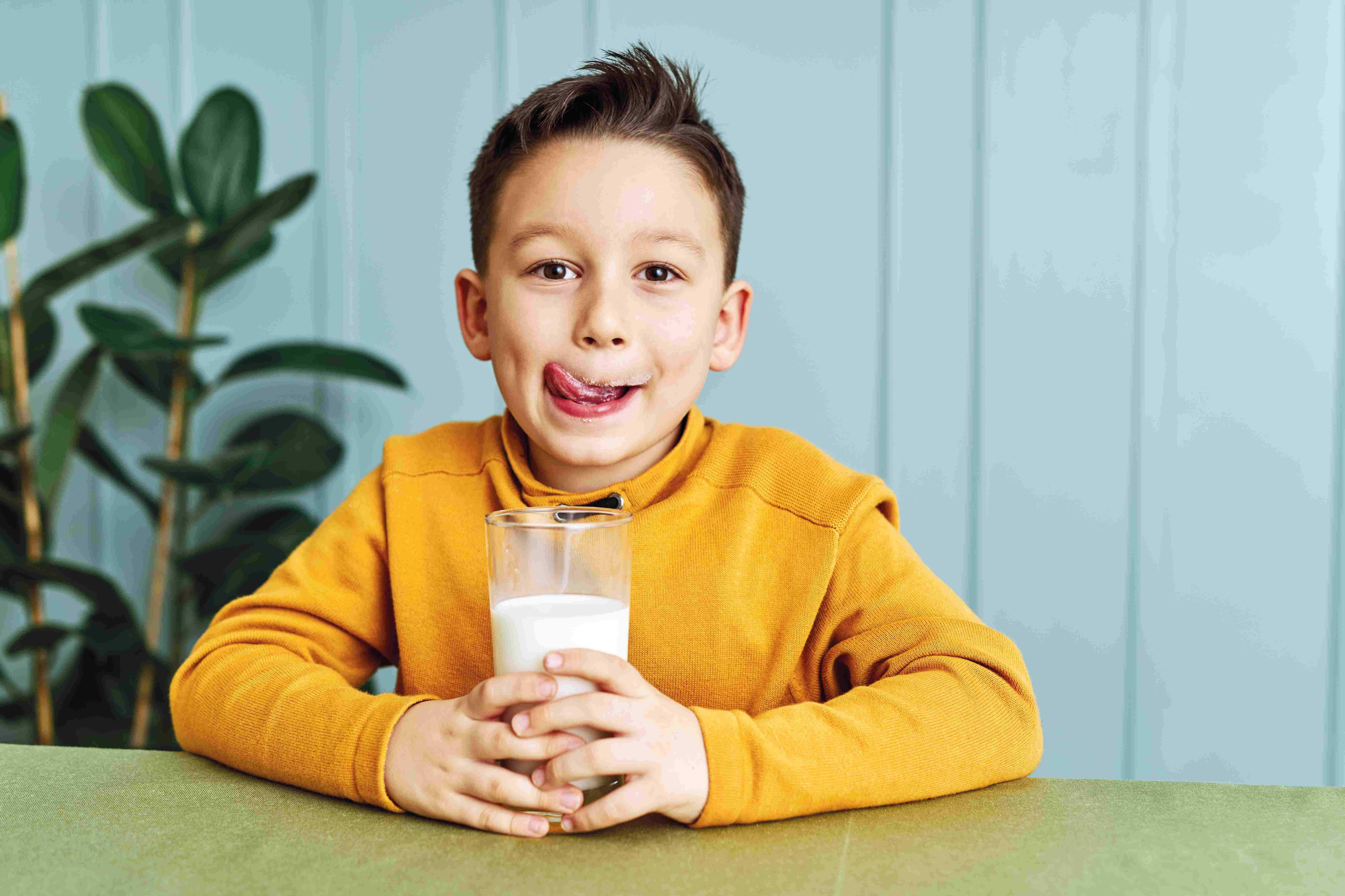 Ten en cuenta las pautas al brindarle alimentos con lactosa a los niños 