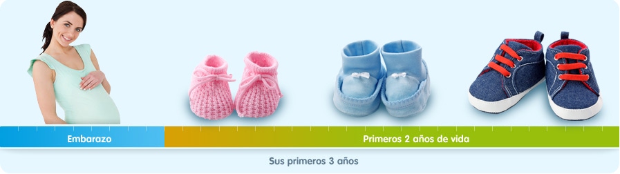 Infografía primeros 1000 dias bebe
